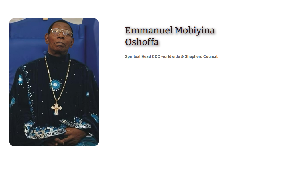 Mobile View Screenshot